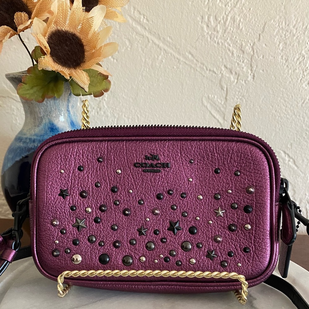 Coach Metallic Rivets Crossbody